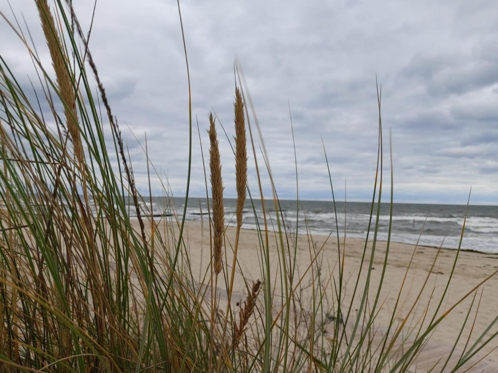 Ostsee Ferienhaus Usedom Hundefreundlich Familie Stopp Haus 22 Lutow Exterior foto